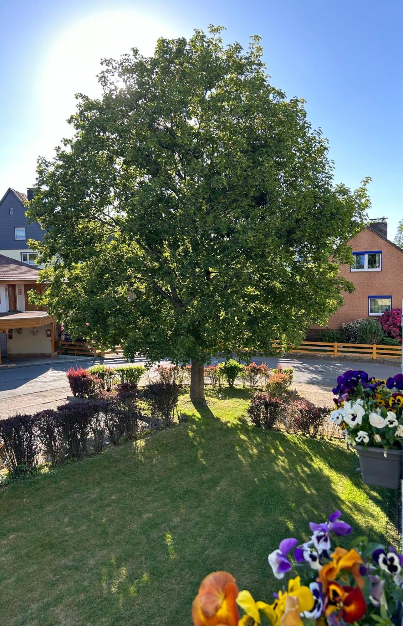 Kleine Auszeit Am Wildgehege Apartment Bad Harzburg Exterior photo